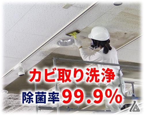 カビ取り洗浄（除カビ）：除菌率99.9％