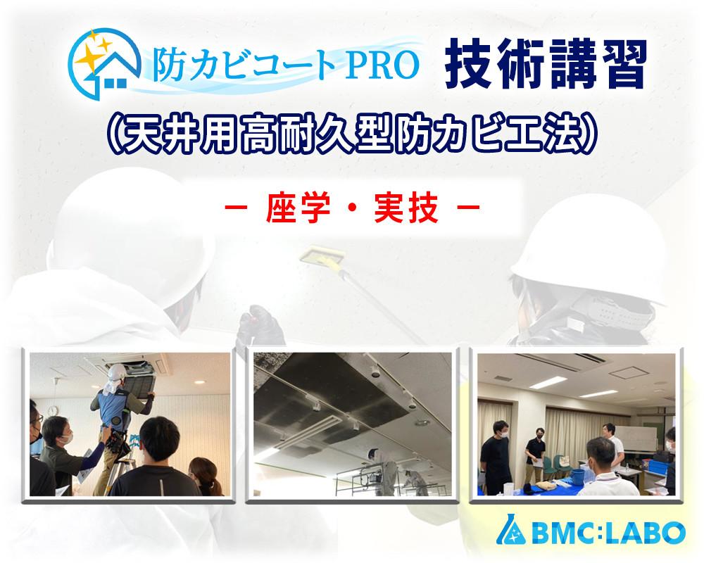 天井のカビを取る技術/防カビコートPRO技術講習 / 最強の防カビ対策