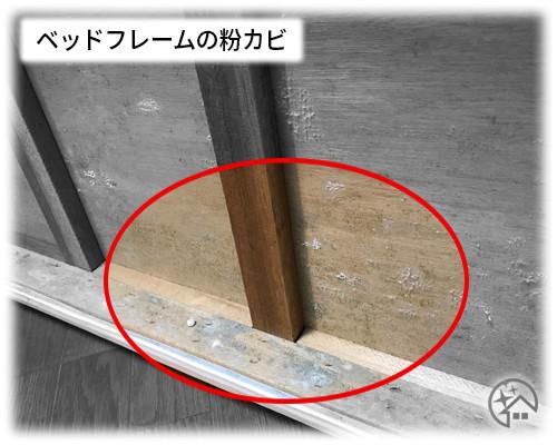天井から落下したカビ胞子で木製家具がカビだらけに