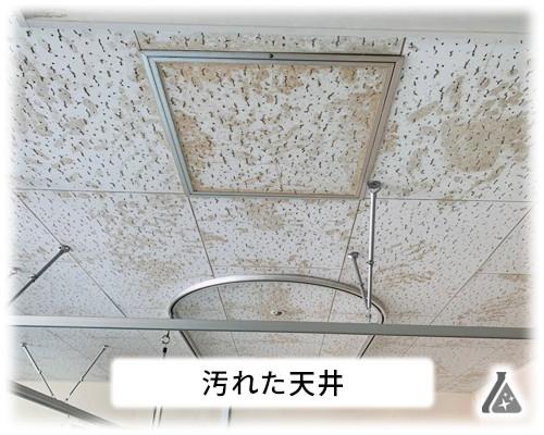 病院の汚れたジプトーン天井