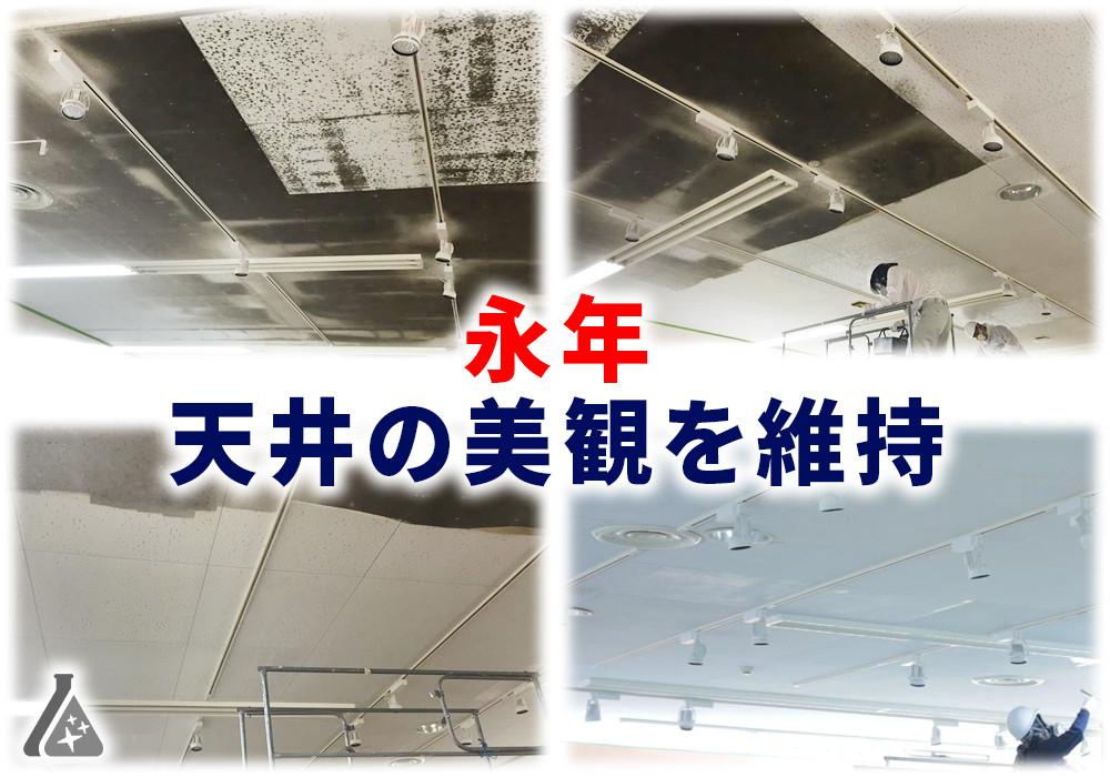 天井カビを長い間生えないようにするカビ取り・防カビ対策技術